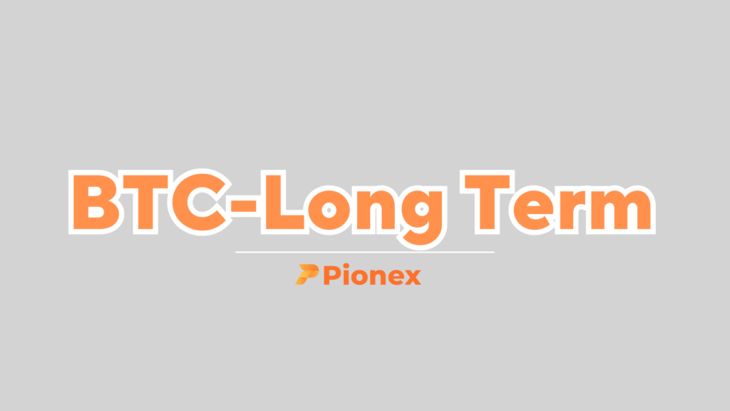 คู่มือ BTC Long term